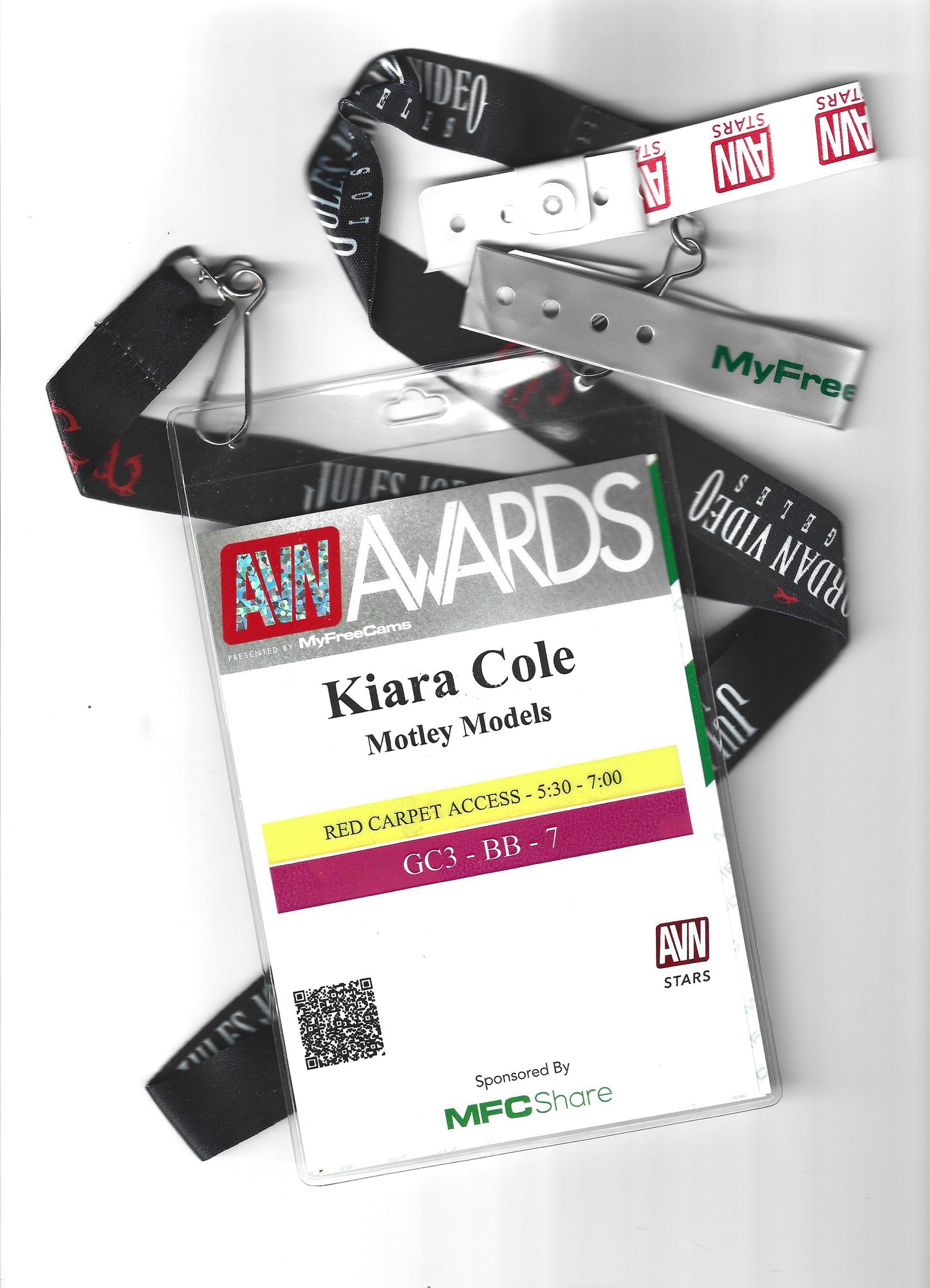 AVN 2020 Lanyard, Convention Badge, Red Carpet Access Pass, and Wristband