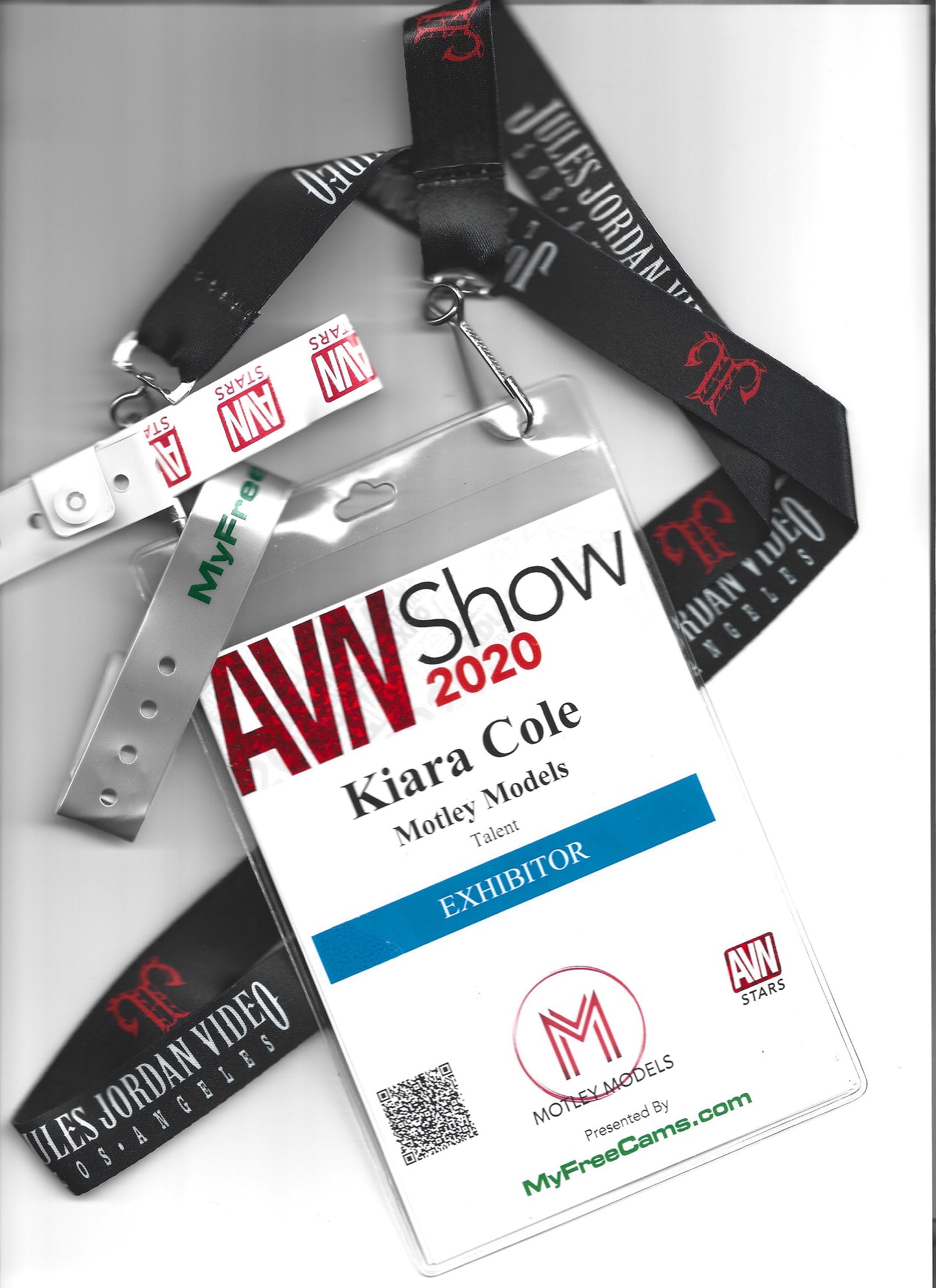 AVN 2020 Lanyard, Convention Badge, Red Carpet Access Pass, and Wristband